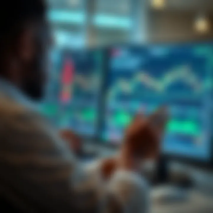 Trader analyzing charts on a computer screen to practice trading strategies using a demo account